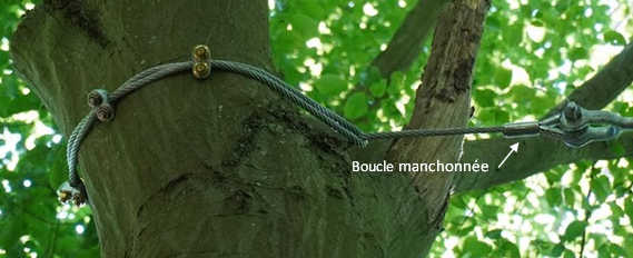 Boucle manchonnée image